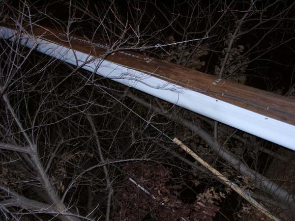 pole + trees = fun