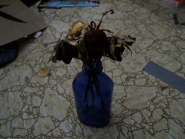 a rose for your mistress?