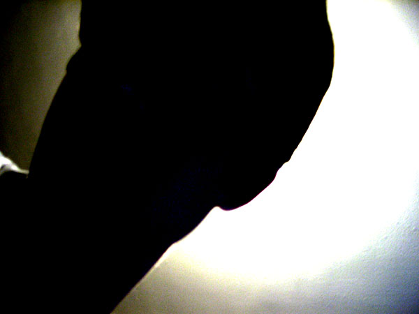 halo effect