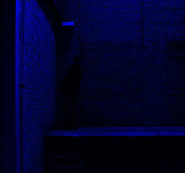 blue bitch