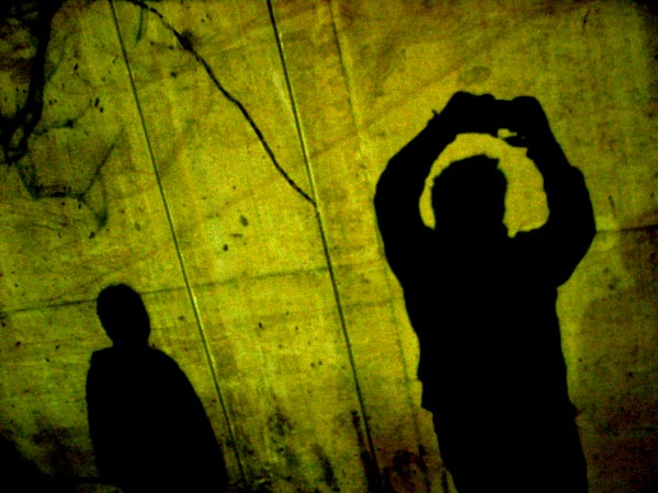 flies on the wall